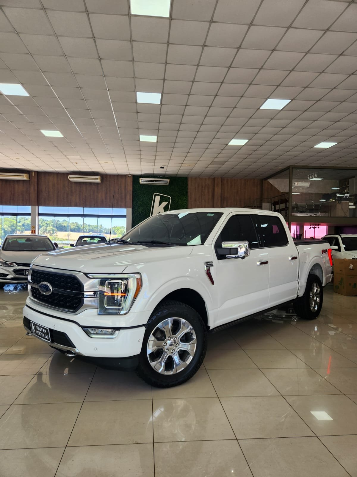  F-150 PLATINUM 5.0 V8 405cv