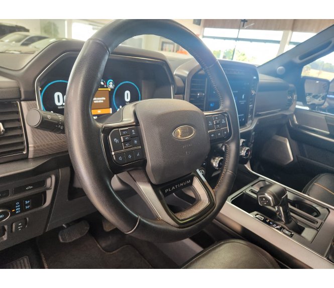  F-150 PLATINUM 5.0 V8 405cv